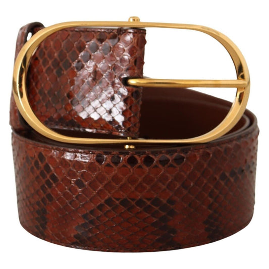 Dolce & Gabbana Elegant Python Snake Skin Leather Belt WOMAN BELTS Dolce & Gabbana