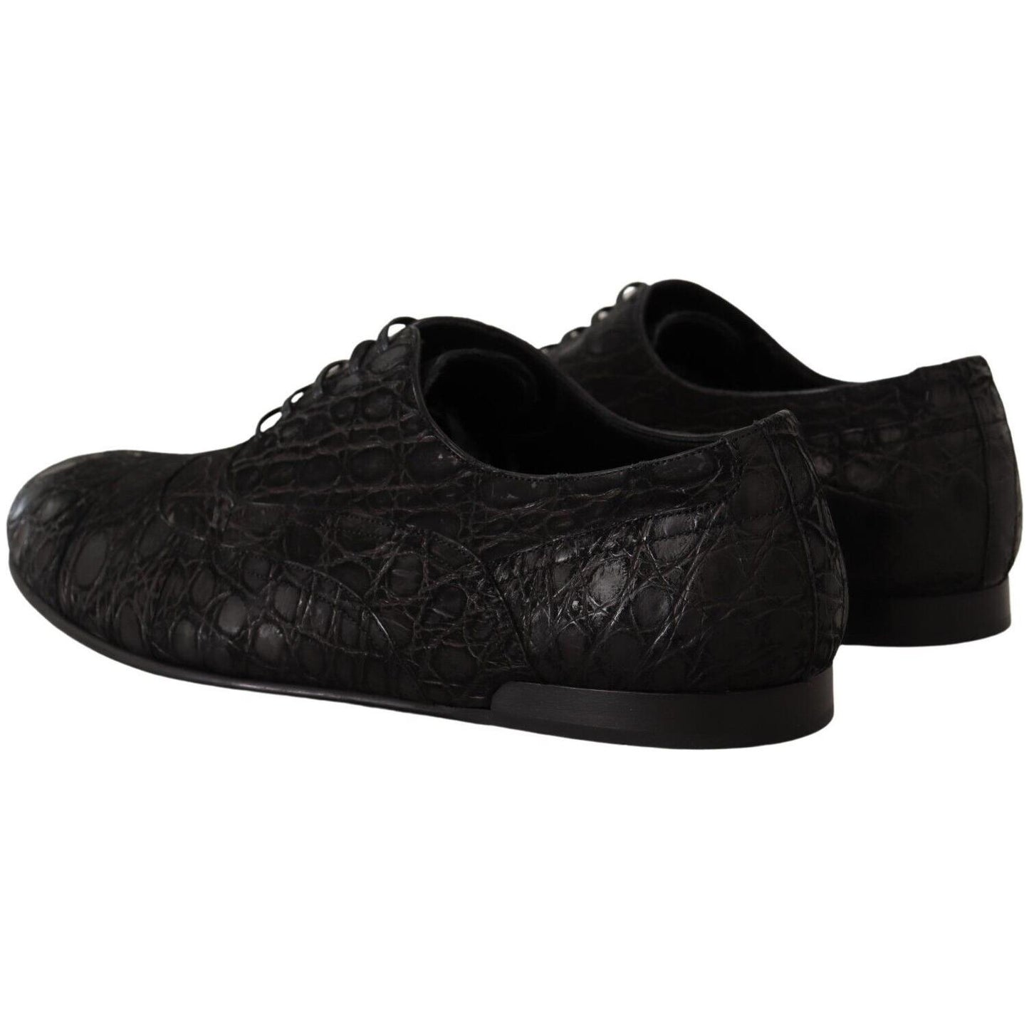 Dolce & Gabbana Elegant Exotic Leather Oxford Shoes Dolce & Gabbana