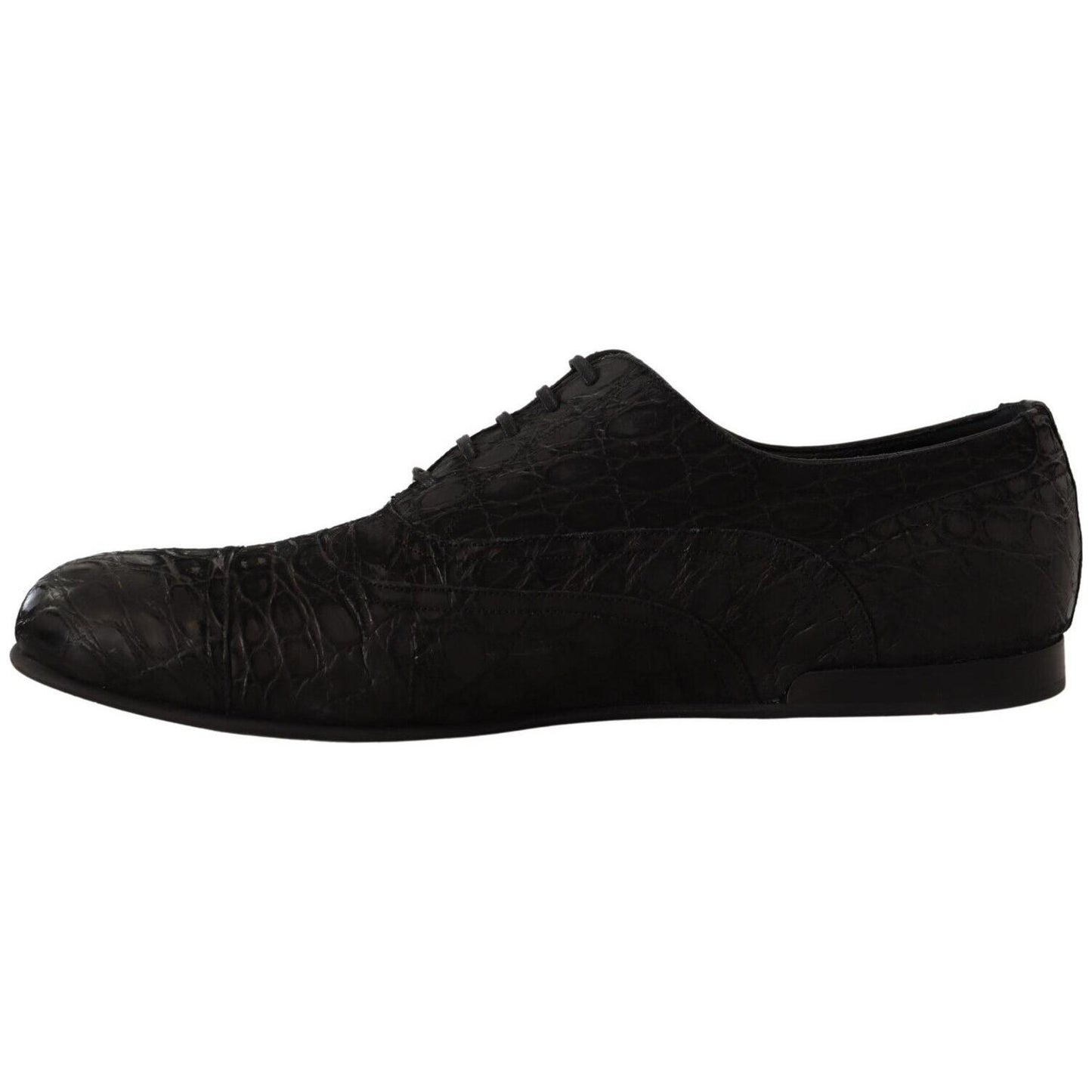 Dolce & Gabbana Elegant Exotic Leather Oxford Shoes Dolce & Gabbana