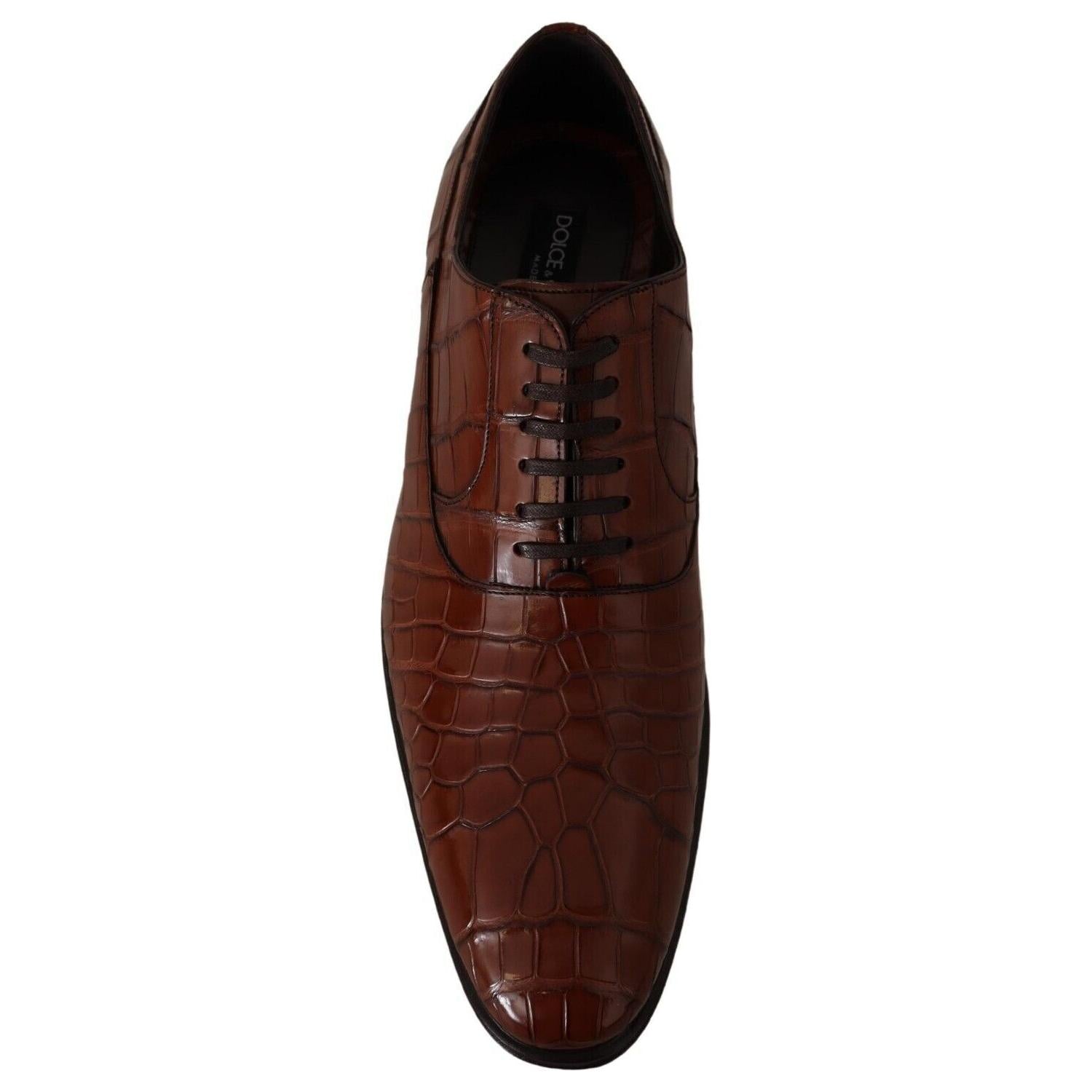Dolce & Gabbana Brown Crocodile Leather Mens Formal Derby Shoes