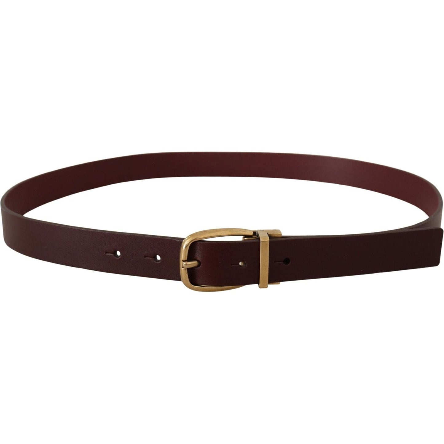 Dolce & Gabbana Elegant Brown Leather Belt with Gold Buckle Dolce & Gabbana