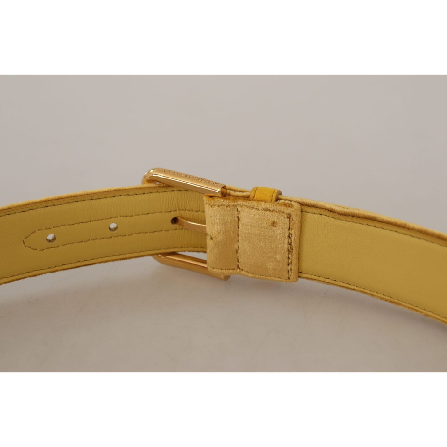 Dolce & Gabbana Elegant Velvet Designer Gold-Buckled Belt Dolce & Gabbana