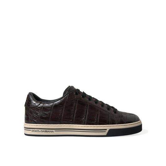 Dolce & Gabbana Brown Croc Exotic Leather Men Casual Sneakers Shoes 1728,67345645728,Brown,Dolce & Gabbana,EU39/US6,Low Tops - Sneakers - Shoes,Material: 100% Crocodile Leather,Men,Men - Shoes,New with tags,Shoes,Sneakers - Men - Shoes,Sneakers - Shoes