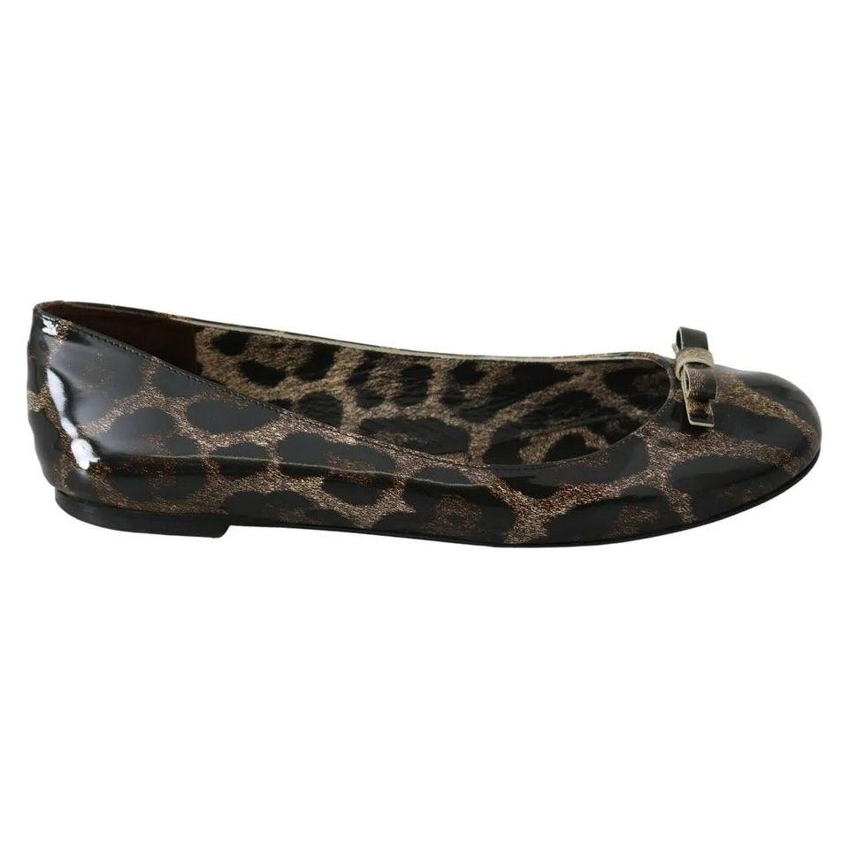 Dolce & Gabbana Brown Leopard Ballerina Flats Leather Shoes Dolce & Gabbana Dark Slate Gray