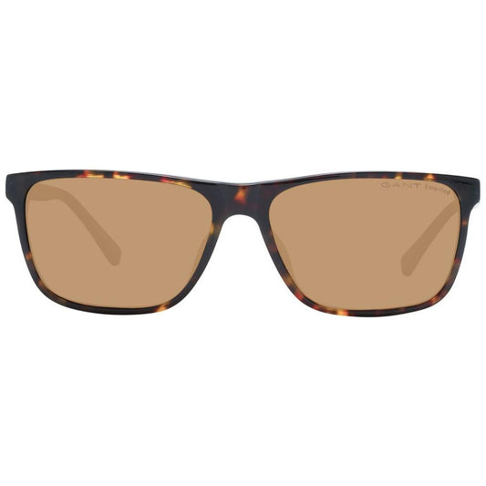 Brown Men Sunglasses