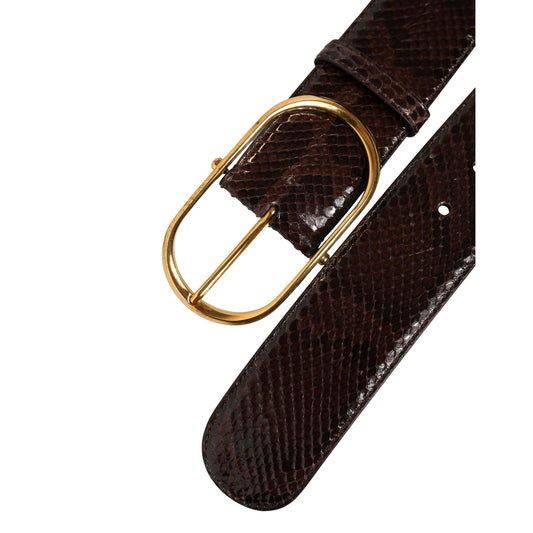 Dolce & Gabbana Brown Python Leather Gold Metal Buckle Belt