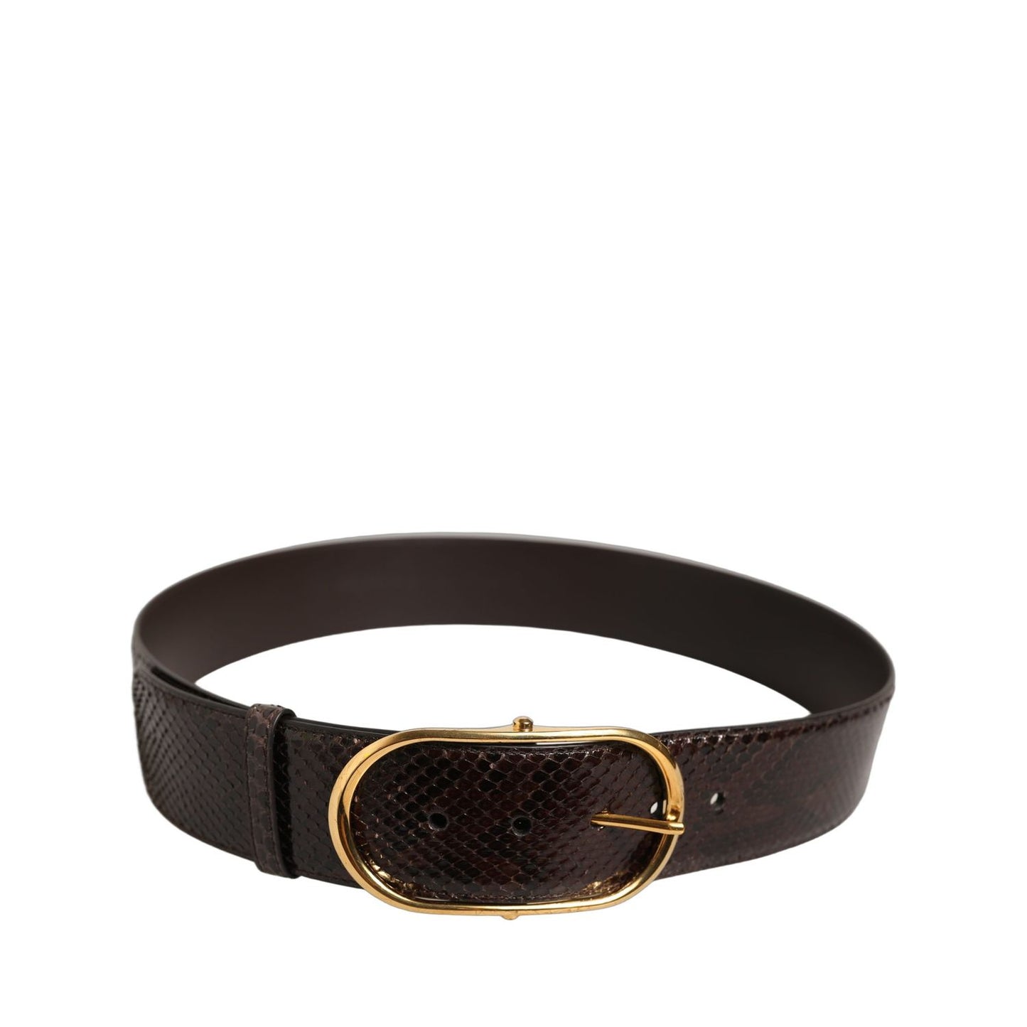 Dolce & Gabbana Brown Python Leather Gold Metal Buckle Belt