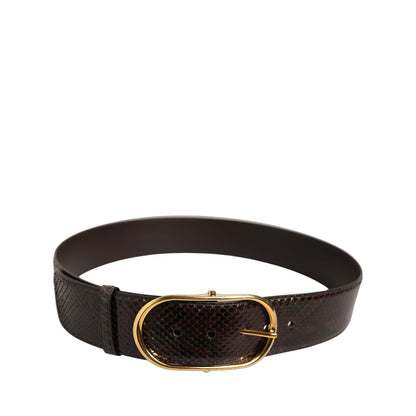 Dolce & Gabbana Brown Python Leather Gold Metal Buckle Belt